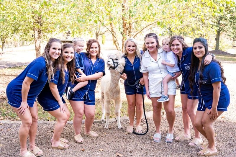 girls with llama on wedding