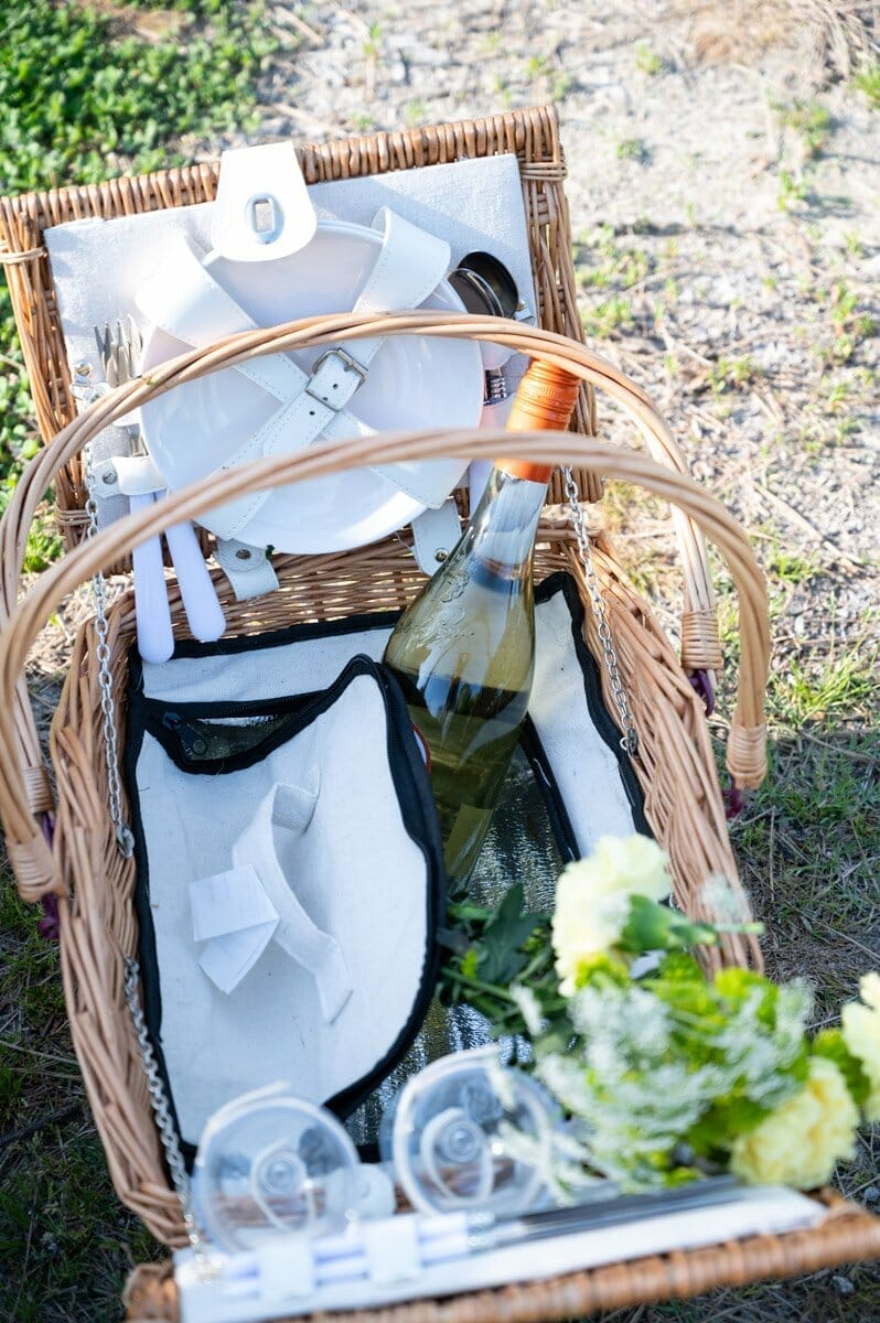picnic basket for engagement photos